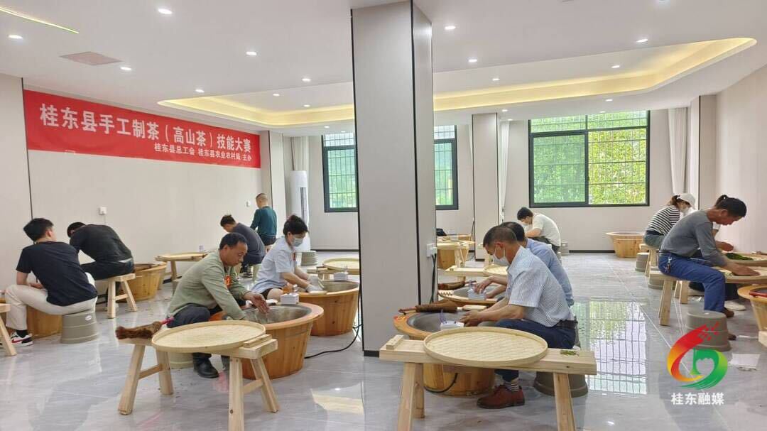 桂东举办手工制茶技能大赛