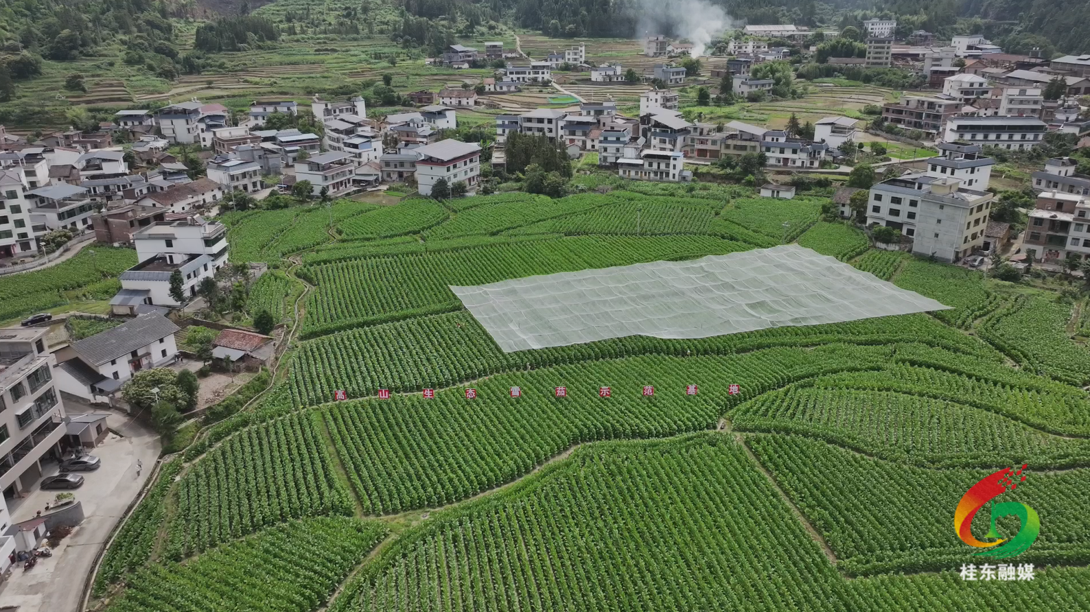 榜样的力量|黄德文：匠心铸就本土雪茄梦