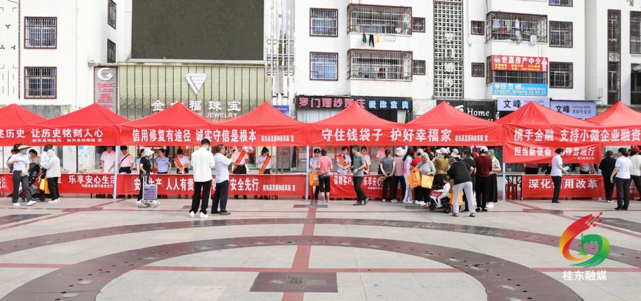 桂东开展2025年诚信宣传月活动