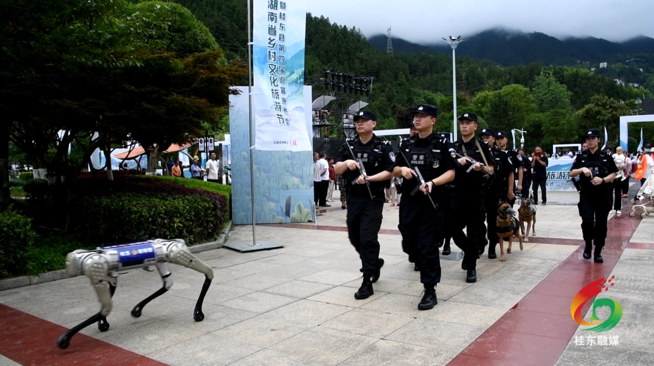桂东警用机械狗首次亮相 护航2025年湖南省乡村文化旅游节