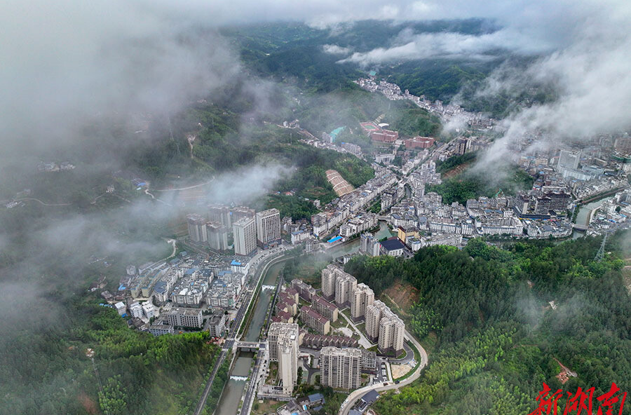 邂逅一场清凉之约