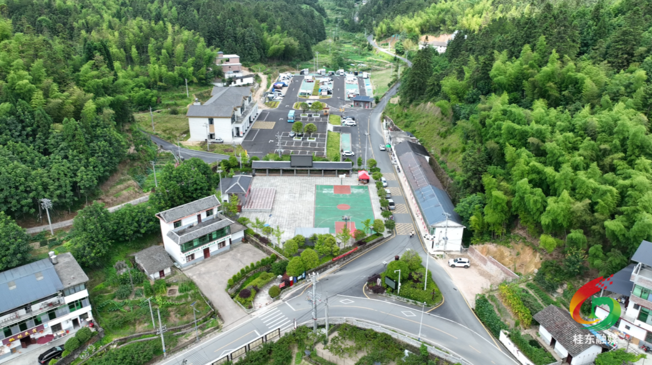 青竹村：振兴有“凉”方 文明绘“兴”景