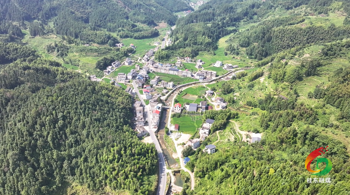 清泉秋坪：“四红” 党建铺就富民强村振兴路