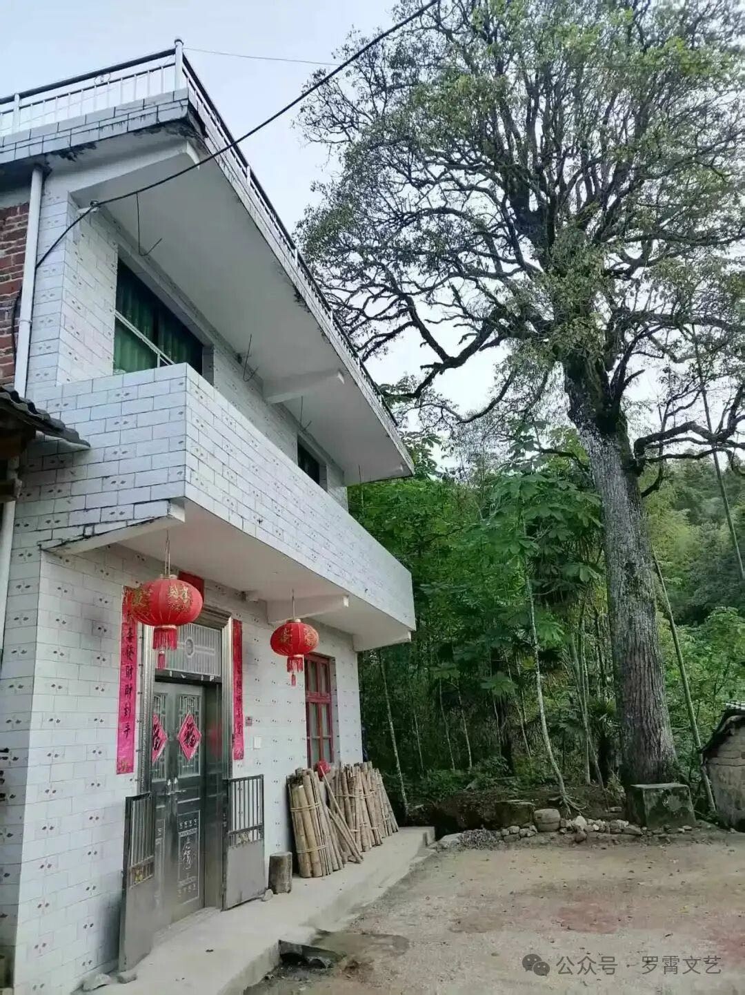 探秘现实版桃花源：在南华仙境与陶渊明隔空对饮