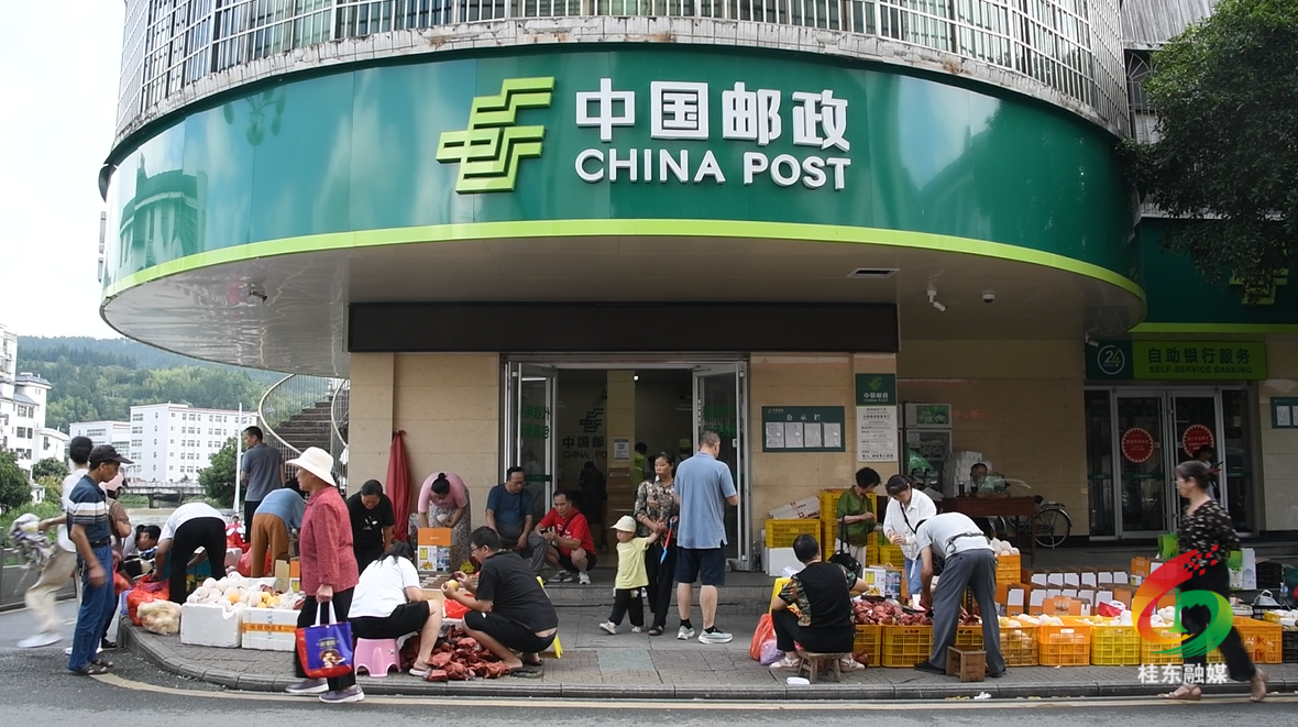 “邮政快车”疾驰助农 桂东黄桃“鲜”达四方