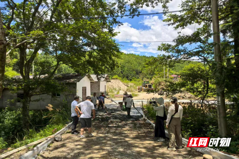 走进我的乡村② | 中和社区的“四红”振兴路