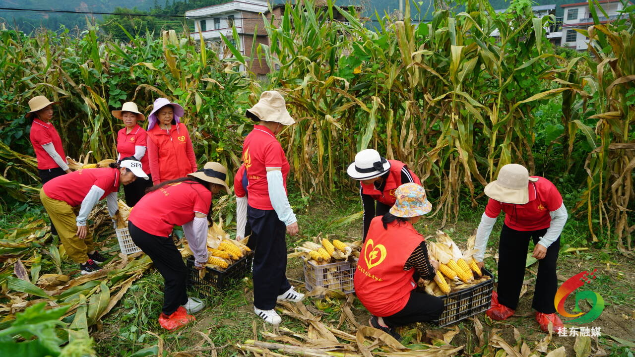 县星火志愿者暖心助农