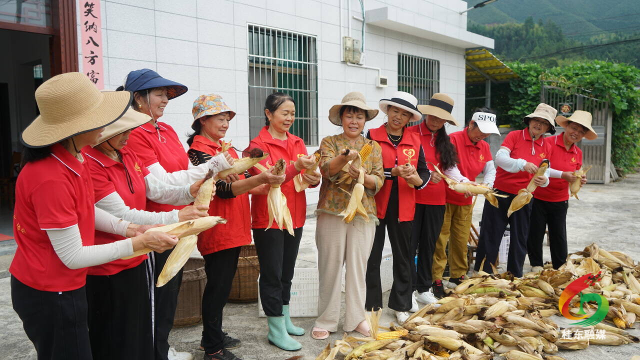 县星火志愿者暖心助农