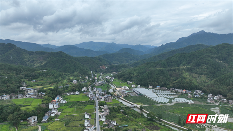 让放心水长流，桂东槐村“三位一体”管出甘甜
