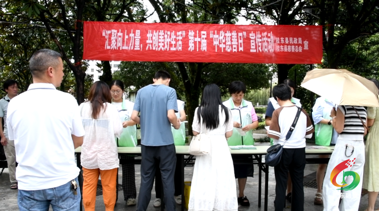 桂东开展“中华慈善日”主题宣传活动