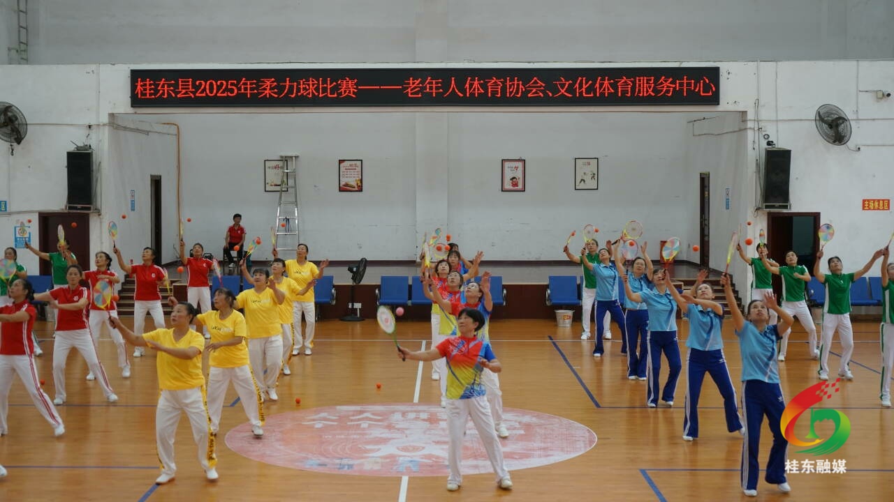 桂东举行2025年柔力球比赛