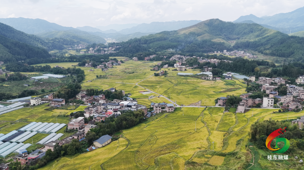 凝聚奋进力量 共绘乡村新图景