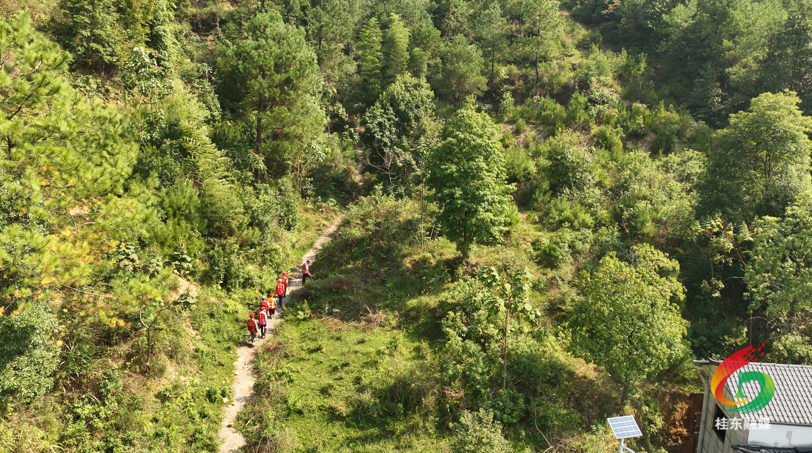 沙田镇：清障开路织密“防火线” 入户宣传绷紧“安全弦”