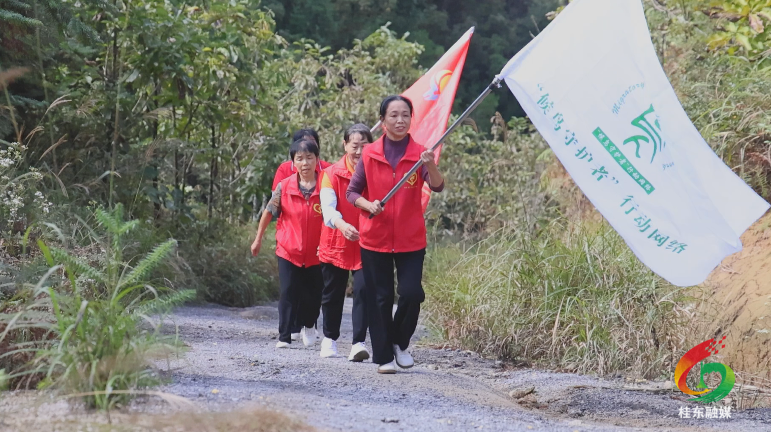 志愿者再巡千年鸟道  护航百万候鸟南迁