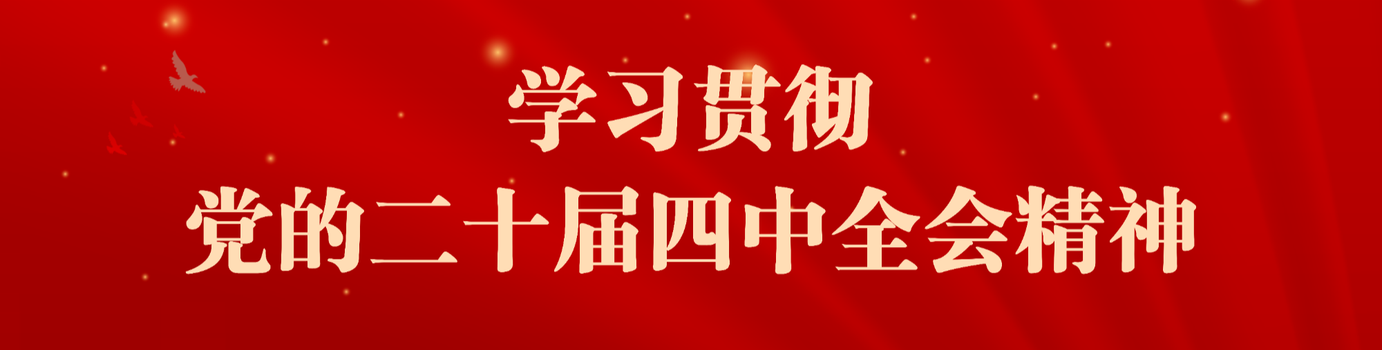 学习贯彻党的二十届四中全会精神