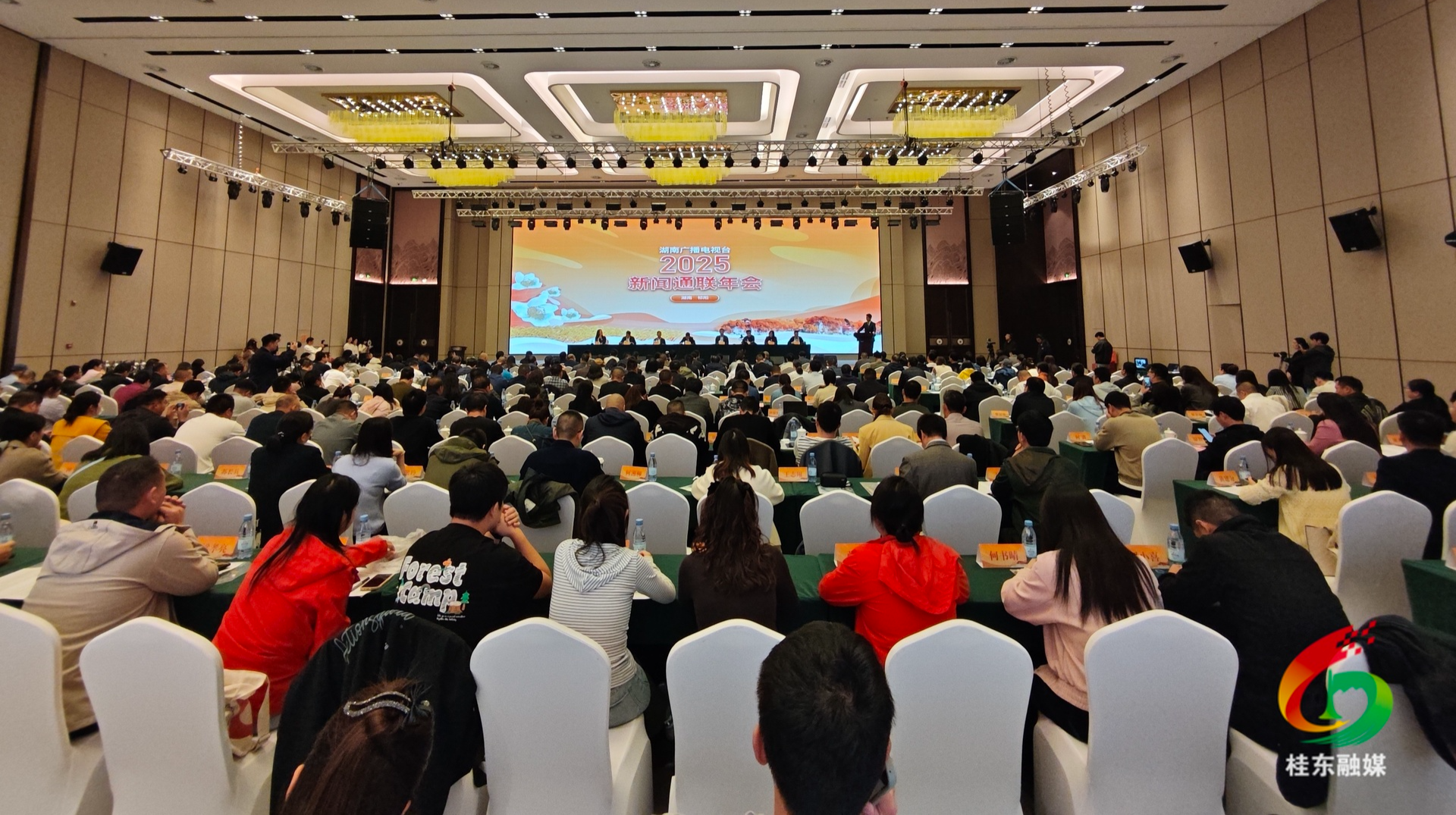 桂东融媒作品获省级奖项