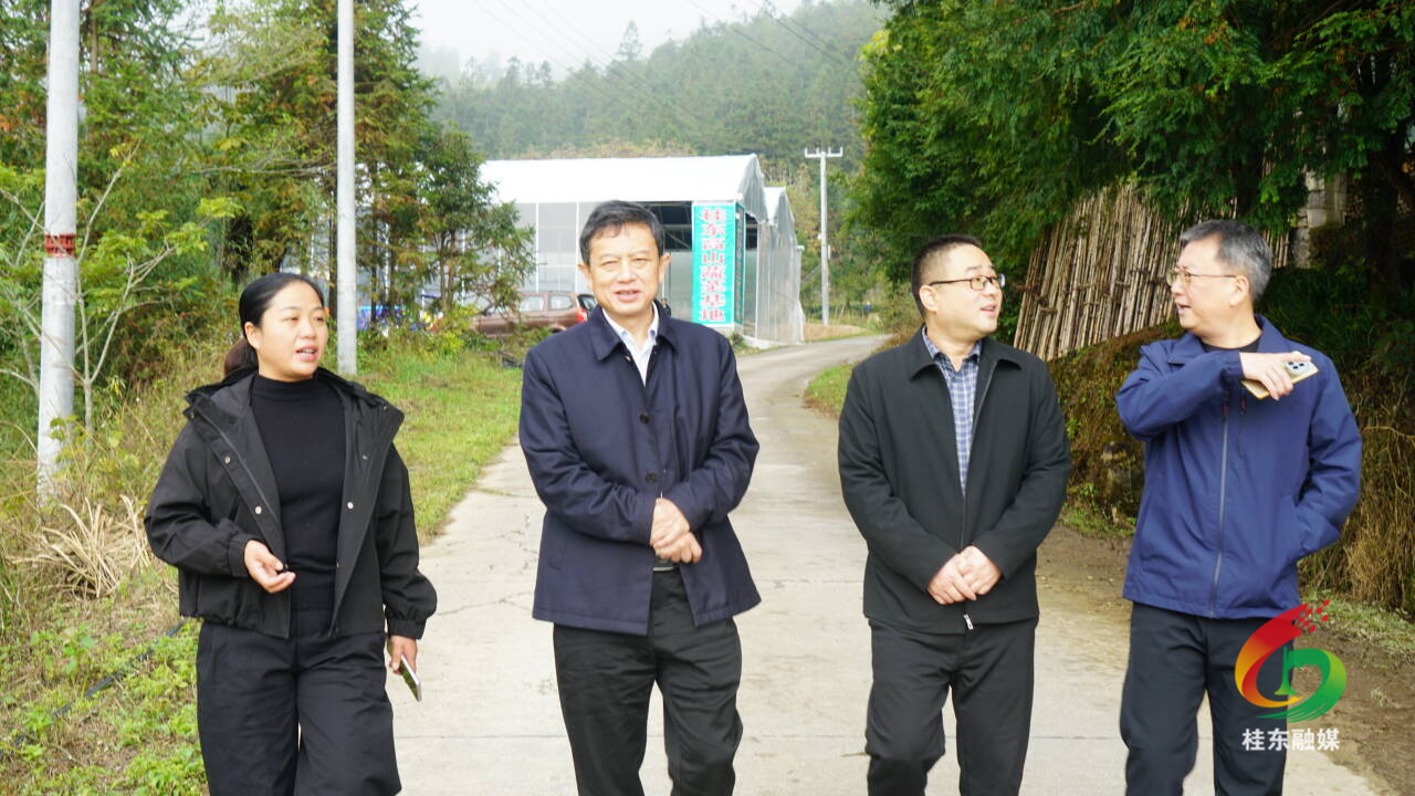 县人大常委会组织开展2025年“农民健康行”“民族团结进步行”“农产品质量安全行”活动