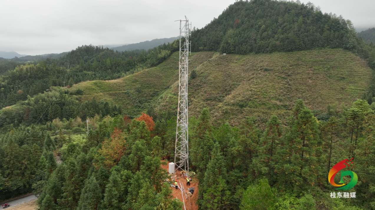 为民办实事|县科工信局：打通信息“动脉”  赋能乡村振兴