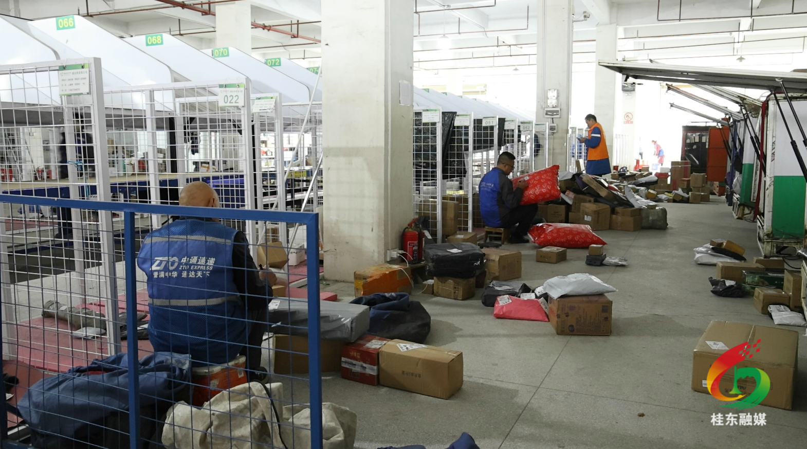 直击我县双十一物流高峰：智能分拣提速 专线进村到家