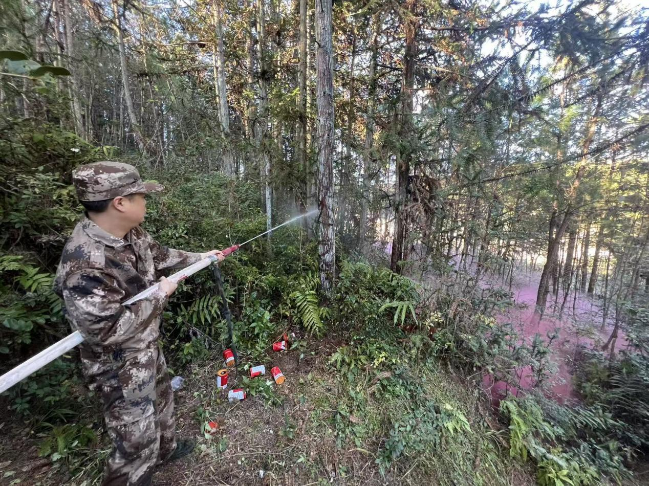 寨前镇开展森林防灭火应急演练