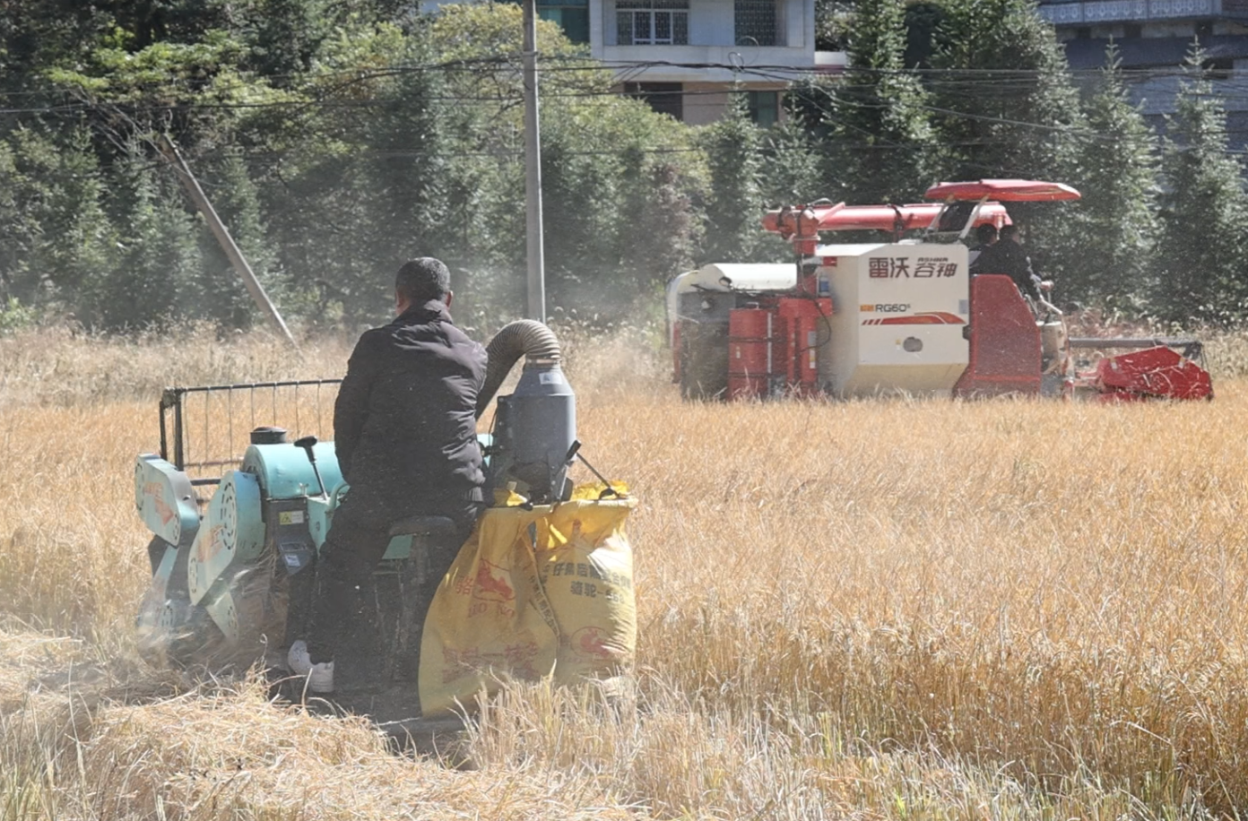 县农业农村局组织开展农机事故应急演练