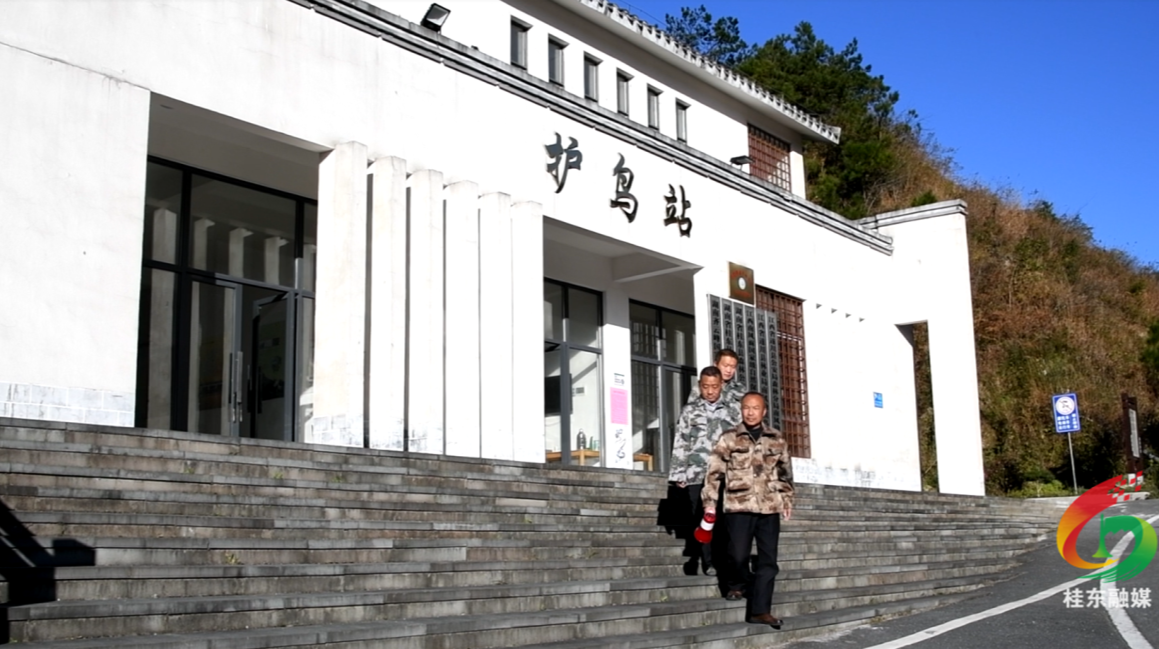 两轮“候鸟”齐聚桂东  千年鸟道“飞出”富民产业