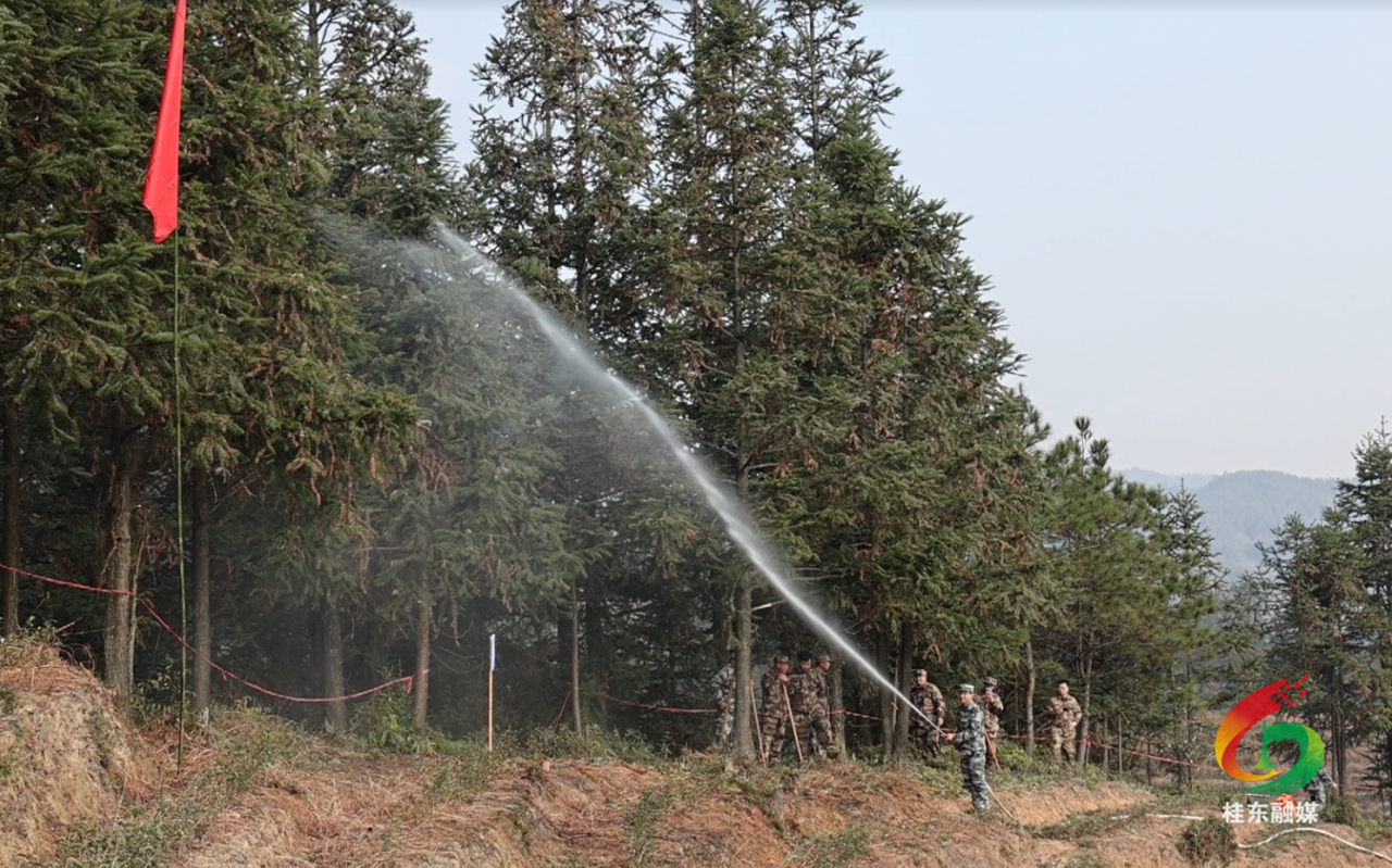 桂东县第一片区区域联动森林消防应急队伍开展演练