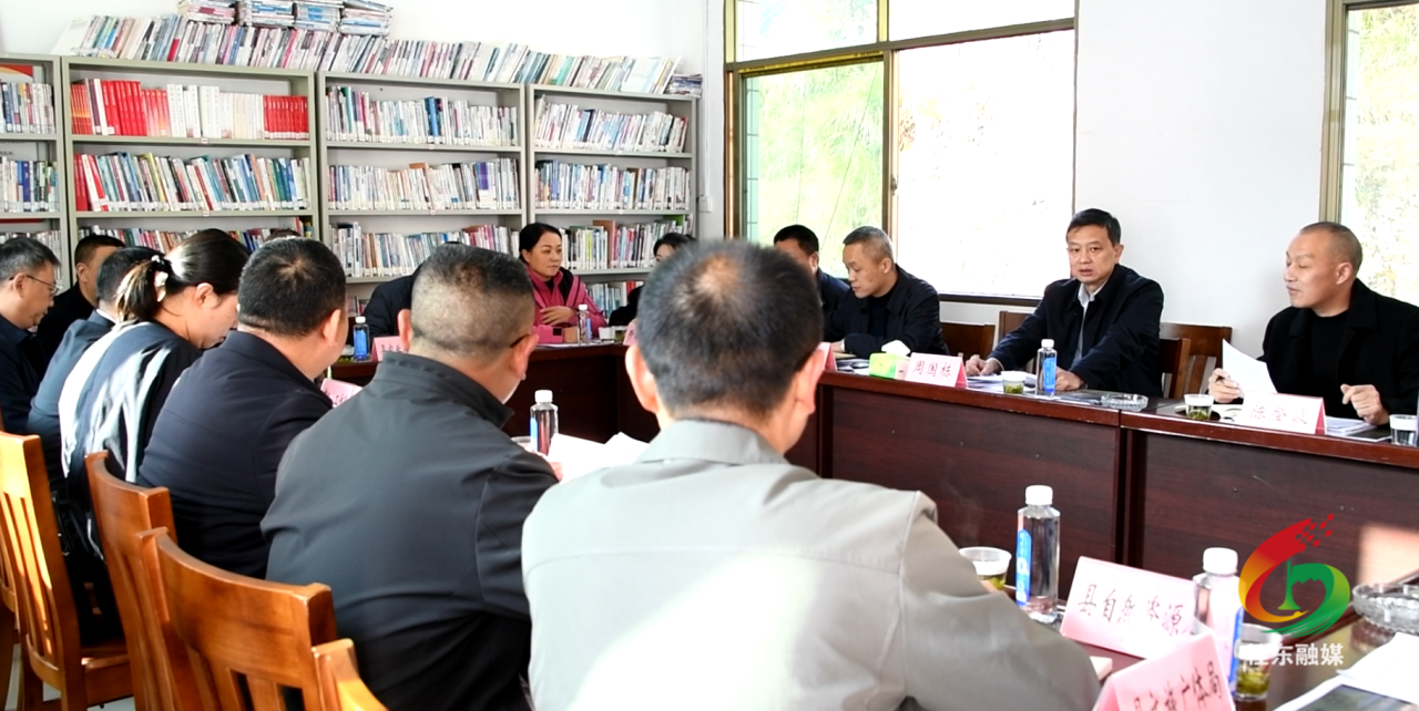 县领导调研禾坪村乡村振兴工作