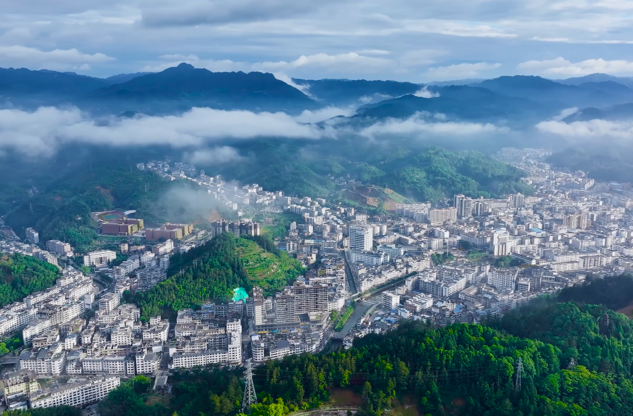 聚力擘画桂东 “十五五” 发展蓝图，诚邀您献智献策