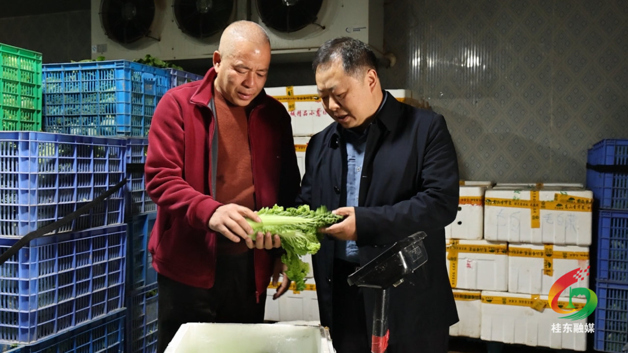 政协委员风采|黄刚：履职扎根基层  初心映照担当