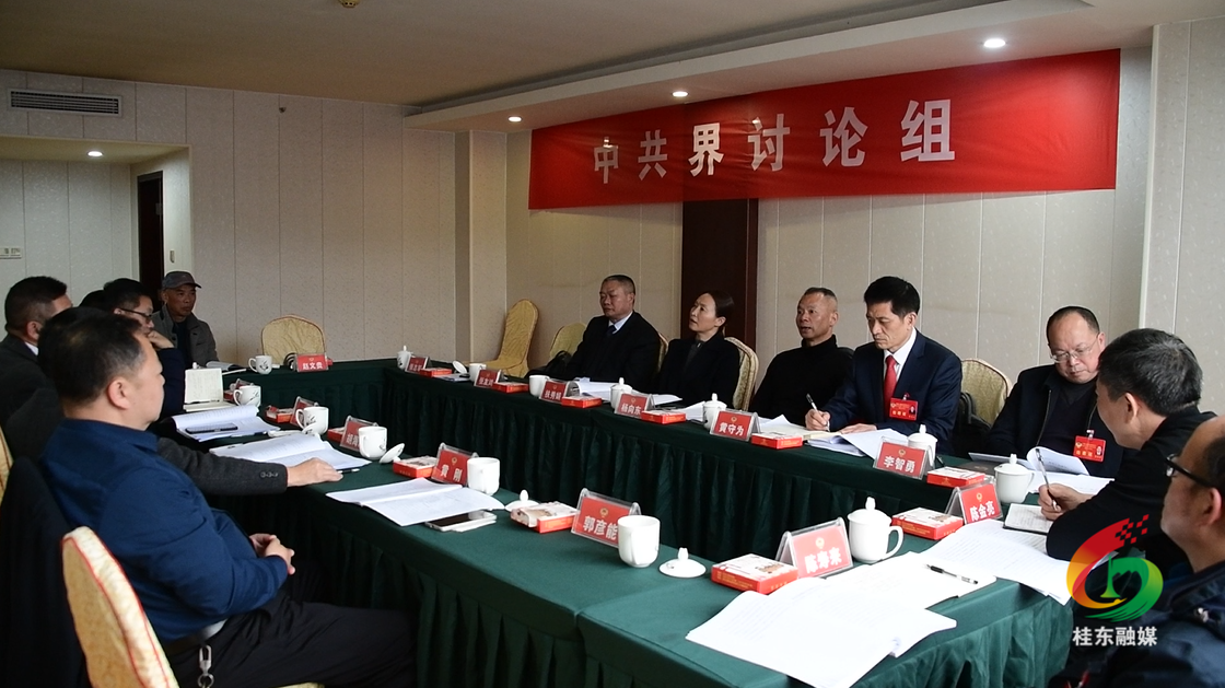 聚焦两会|县政协委员开展分组协商讨论