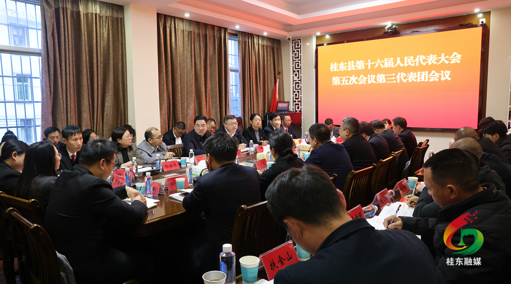 聚焦两会|尹建恒参加代表团分组审议：共商发展良策 共谋发展新篇