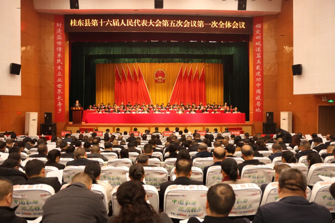 聚焦两会|一图速览2025年桂东县政府工作报告