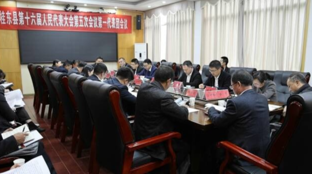 聚焦两会|代表委员热议政府工作报告