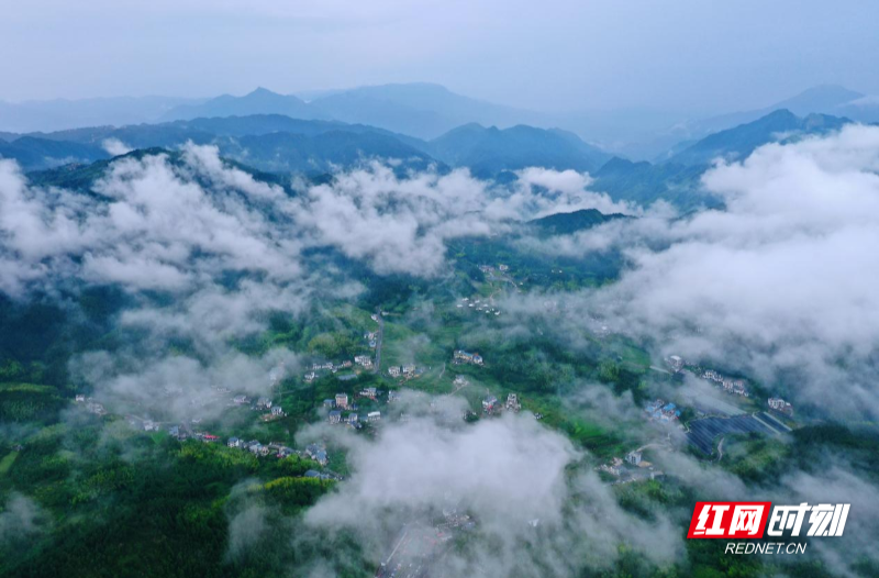 诗歌 | 只此桂东