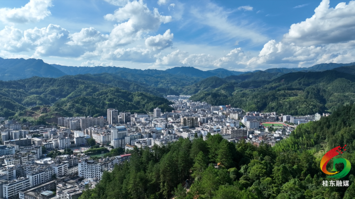 谋新篇·启新程|沤江镇：争当“四城”建设排头兵 谱写高质量发展新篇章