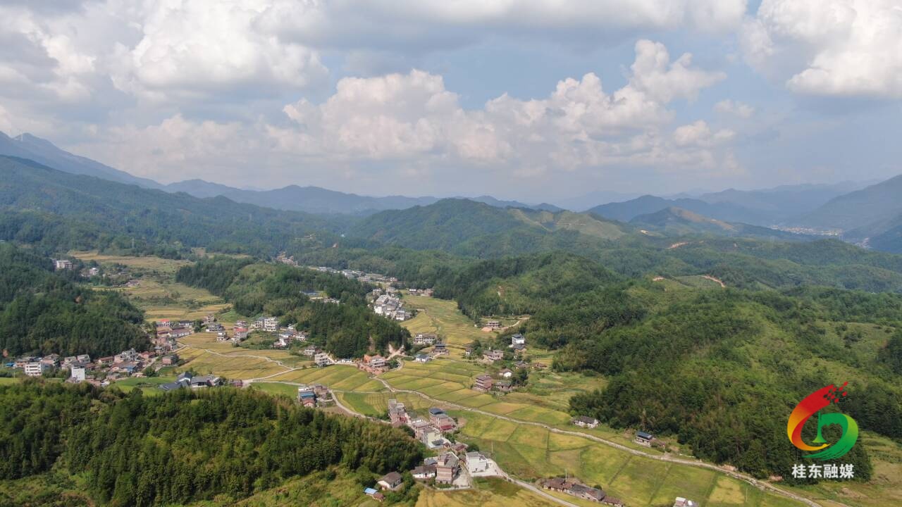 谋新篇·启新程|普乐镇：聚力打造“土陶花卉”品牌  绘就高质量发展新图景