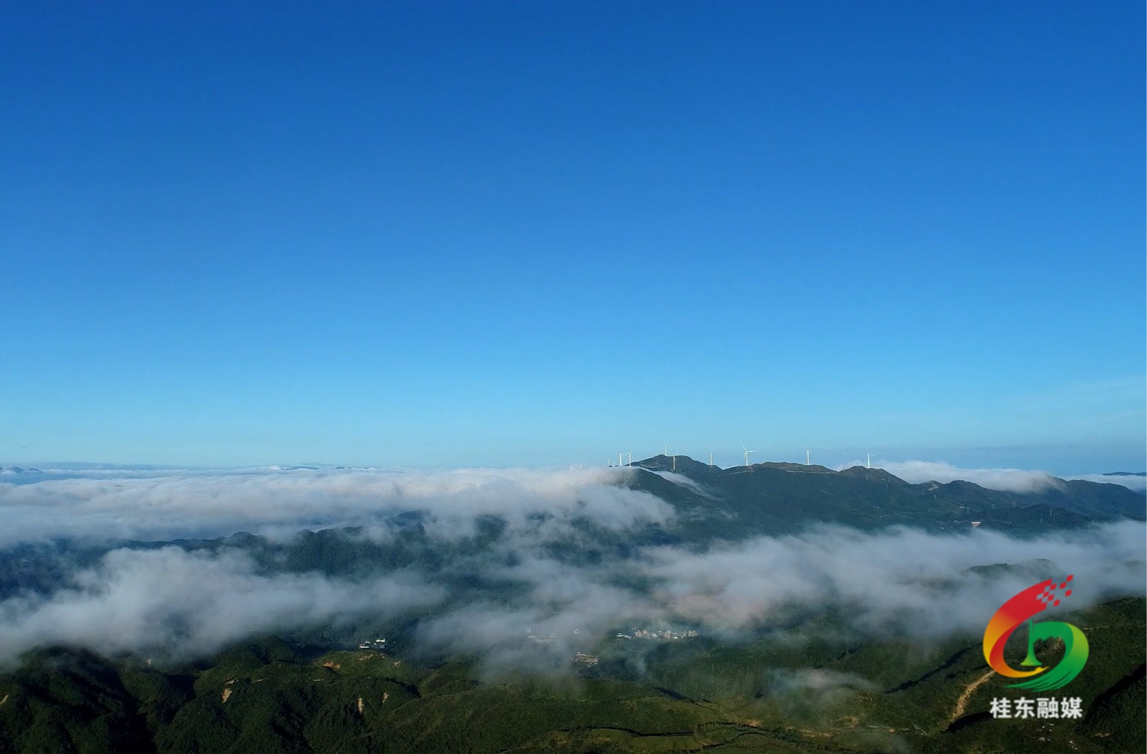 回望“十四五”  实干铸辉煌⑤|红绿辉映绘新卷 融合发展启新程