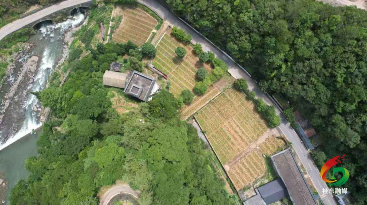 谋新篇·启新程|宋坪国有林场：锚定生态优先 聚力转型赋能 建设现代化国有林场