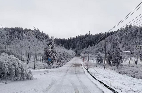 桂东：“冰”来将挡 险除路畅