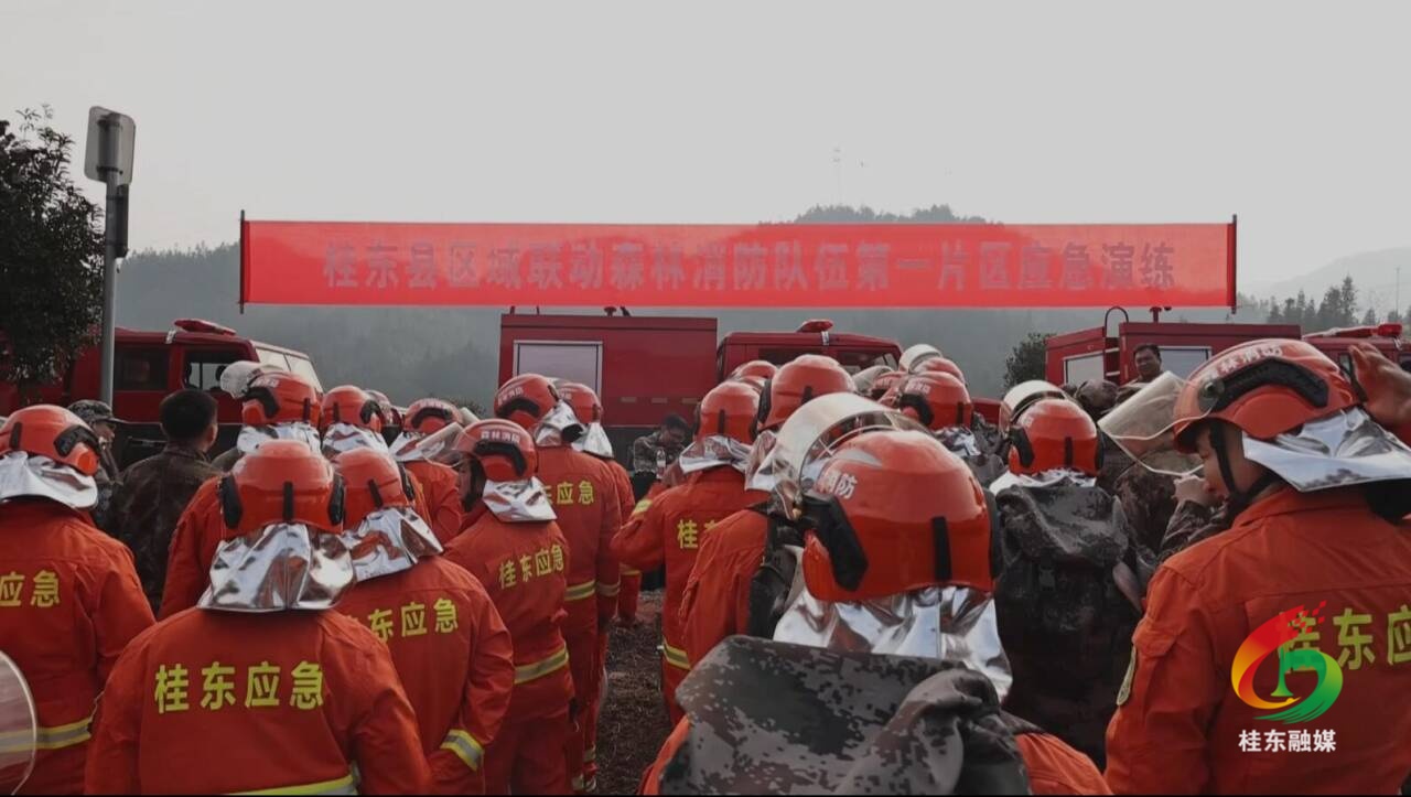 回望“十四五”实干铸辉煌⑦ | 筑牢安全屏障 护航高质量发展