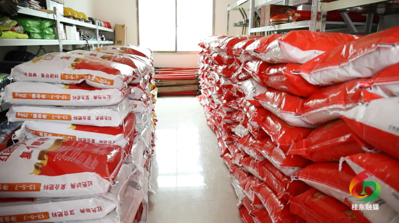 人勤春来早 “桂”在耕耘|东洛乡：“苗到肥到”服务上门 春耕物资直达农户