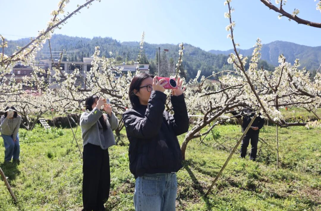 寻花品鲜正当时！来中国氧都·长寿桂东，赴一场春日约会！