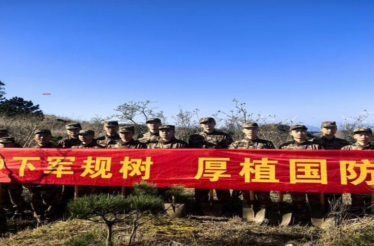 桂东：种下“军规”树 厚植国防情