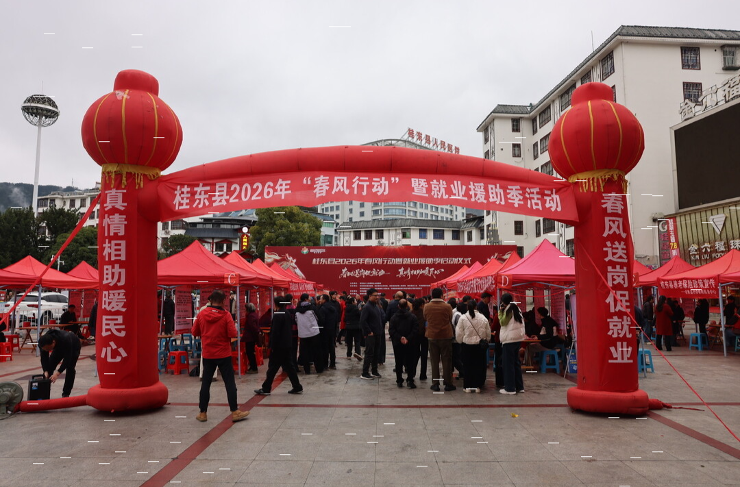 桂东：“四送”服务暖民心 稳岗就业促发展