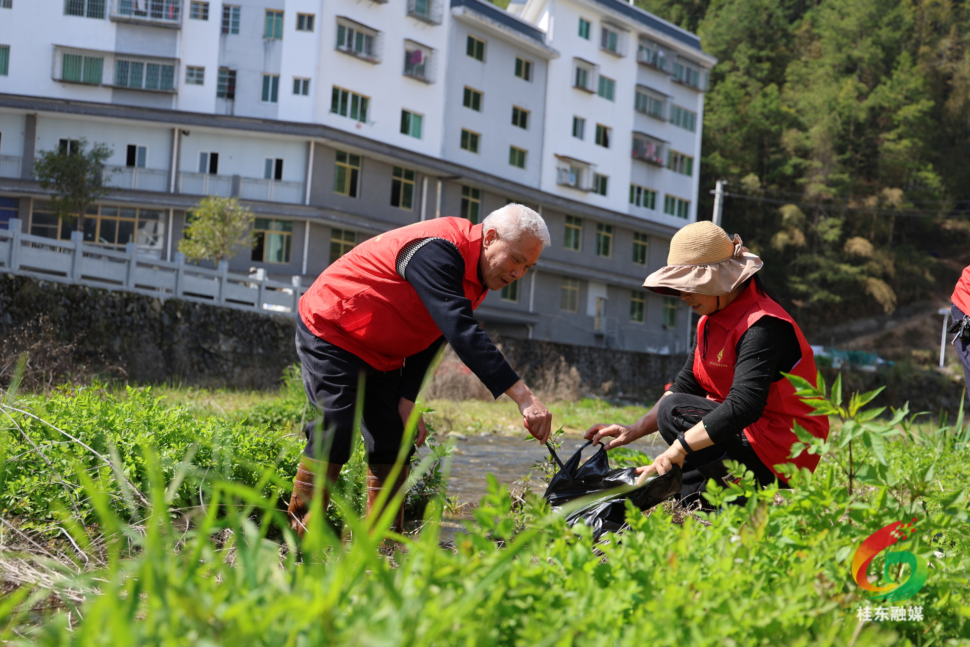学雷锋 当先锋|县星火志愿者协会：护河行动践初心 雷锋精神润心田