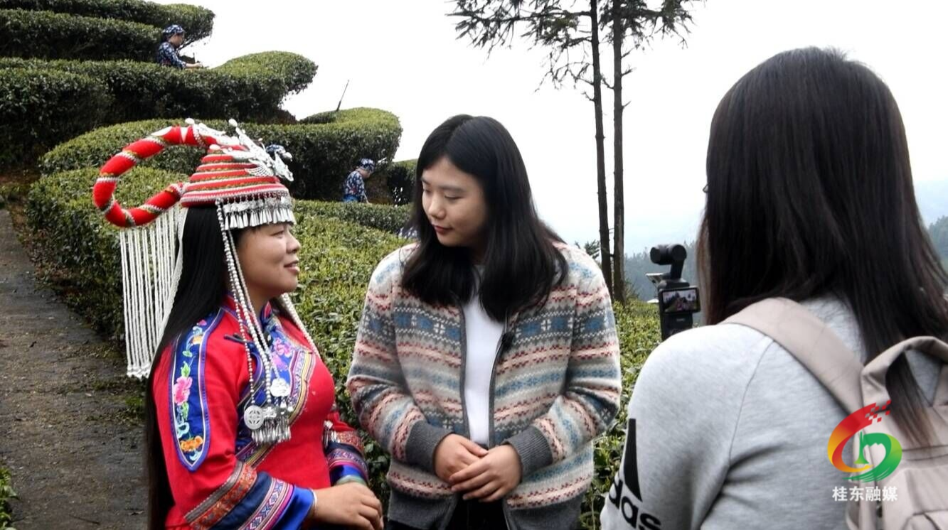 央广网直播走进桂东 为茶旅融合插上“云翅膀”