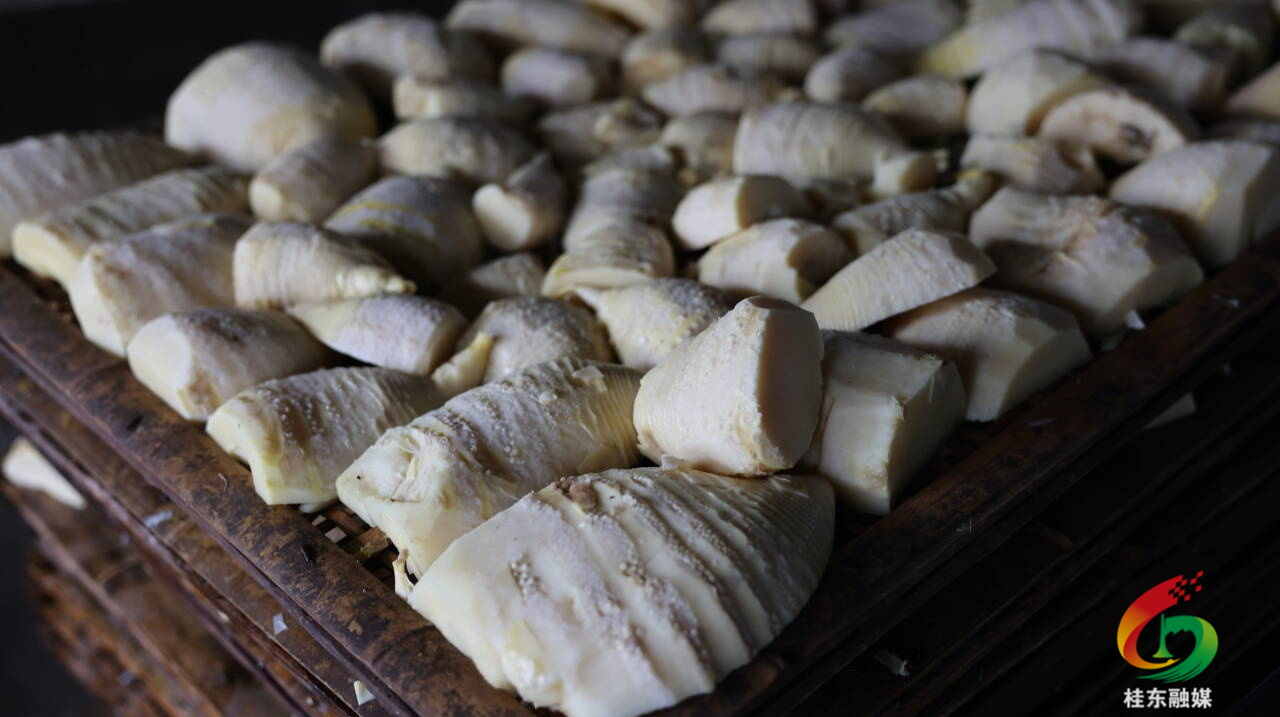 开局八好|青山乡：强链条兴产业 鲜笋成金促振兴