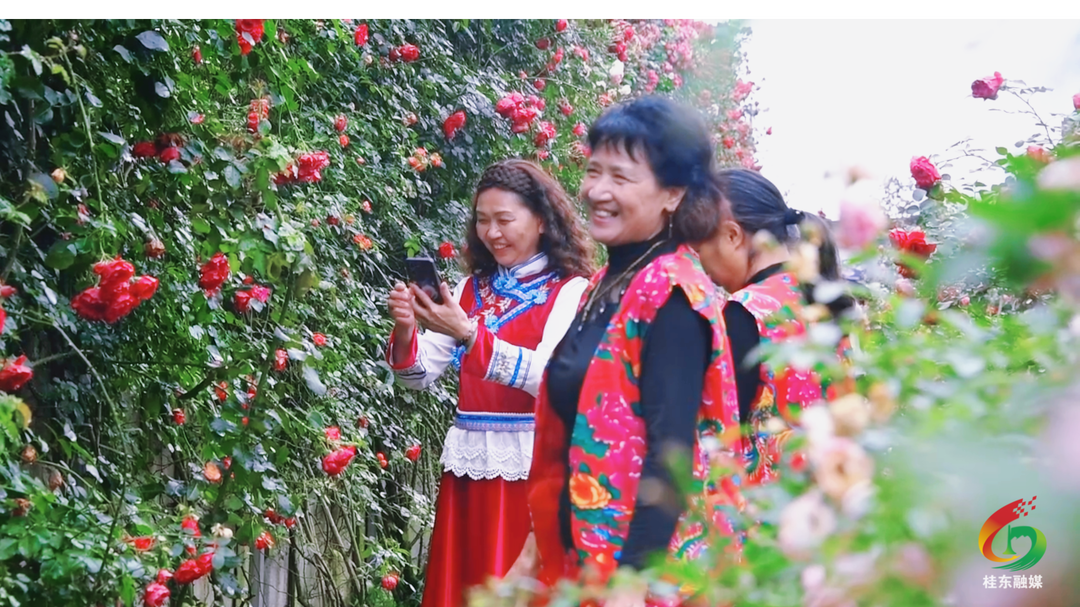 小而美·桥头 | 一墙繁花醉游人  农旅焕发新活力