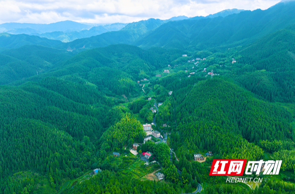 桂东县：以业促治聚合力 村美人和兴乡村